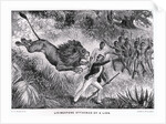 Livingstone Attacked by a Lion by Anonymous