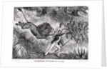 Livingstone Attacked by a Lion by Anonymous