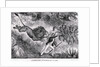 Livingstone Attacked by a Lion by Anonymous