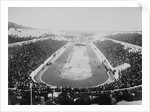 1896 Olympic Games in Athens by Anonymous