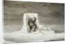 An Eskimo Watching a Seal Hole by Edward Finden