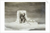 An Eskimo Watching a Seal Hole by Edward Finden