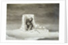 An Eskimo Watching a Seal Hole by Edward Finden
