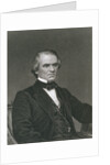 Andrew Johnson by T. Phillibrown