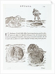 Illustration of Methods for Producing Dense Smoke Using Steam and Oil by Giovanni Antonio Rusconi