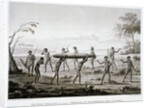 New Holland, Port Jackson: Burial Ceremony of the Aborigines Book Illustration by Anonymous