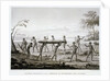 New Holland, Port Jackson: Burial Ceremony of the Aborigines Book Illustration by Anonymous