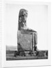 Detail Showing the Pharoah Amenhotep III Enthroned from the Colossi of Memnon at Luxor by Anonymous
