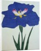 O-Sho-Kun Book Illustration of a Blue Iris by Anonymous