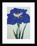 O-Sho-Kun Book Illustration of a Blue Iris by Anonymous