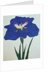 O-Sho-Kun Book Illustration of a Blue Iris by Anonymous