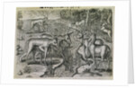 Engraving by Theodor de Bry After Stag Hunting by Jacques Le Moyne