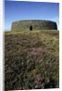 Grianan of Aileach by Anonymous