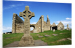 Cross of the Scriptures at Clonmacnoise Monastery by Anonymous