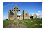 Cross of the Scriptures at Clonmacnoise Monastery by Anonymous