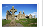 Cross of the Scriptures at Clonmacnoise Monastery by Anonymous