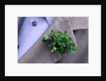 Shamrock Worn on St. Patrick's Day by Anonymous