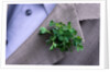 Shamrock Worn on St. Patrick's Day by Anonymous