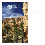 Hoodoos and Ponderosa Pines by Anonymous