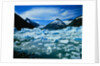Icebergs in Portage Lake by Anonymous