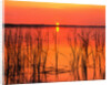 Sunset Over Lake Hamilton by Anonymous