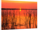 Sunset Over Lake Hamilton by Anonymous