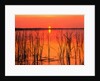 Sunset Over Lake Hamilton by Anonymous