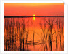 Sunset Over Lake Hamilton by Anonymous