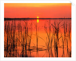 Sunset Over Lake Hamilton by Anonymous