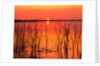 Sunset Over Lake Hamilton by Anonymous