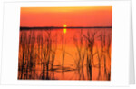 Sunset Over Lake Hamilton by Anonymous