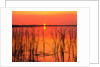 Sunset Over Lake Hamilton by Anonymous