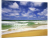 Beach at Hanalei Bay by Anonymous