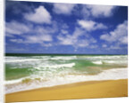 Beach at Hanalei Bay by Anonymous