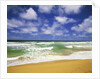 Beach at Hanalei Bay by Anonymous