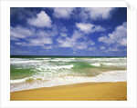 Beach at Hanalei Bay by Anonymous