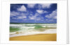 Beach at Hanalei Bay by Anonymous