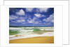 Beach at Hanalei Bay by Anonymous