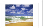Beach at Hanalei Bay by Anonymous