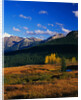Meadow near Molas Divide by Anonymous