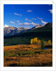 Meadow near Molas Divide by Anonymous