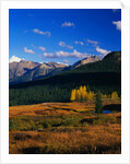 Meadow near Molas Divide by Anonymous