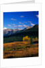Meadow near Molas Divide by Anonymous