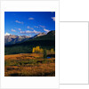 Meadow near Molas Divide by Anonymous