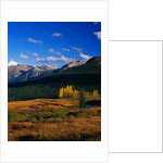 Meadow near Molas Divide by Anonymous
