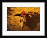 Flowers on a Cattle Skull by Anonymous