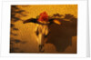 Flowers on a Cattle Skull by Anonymous