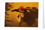Flowers on a Cattle Skull by Anonymous