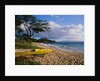 Canoe on Wailea Beach by Anonymous