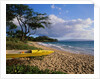 Canoe on Wailea Beach by Anonymous